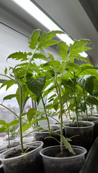 Similar image 22641702