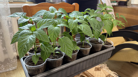 Similar image 22641703