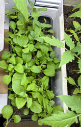 Similar image 22641704