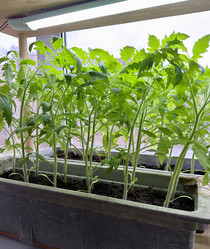 Similar image 22641705