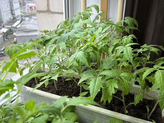 Similar image 22641706