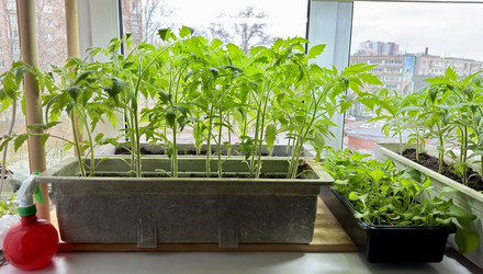 Similar image 22641707