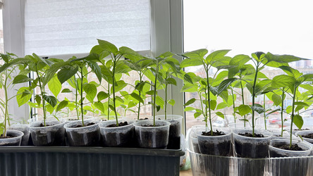 Similar image 22641708