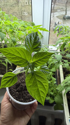 Similar image 22641709