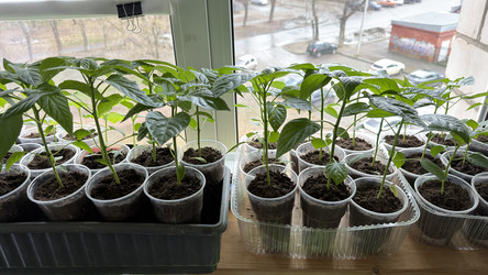 Similar image 22641710