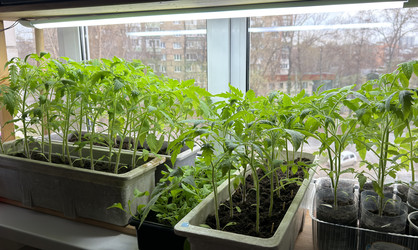 Similar image 22641711