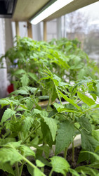 Similar image 22641712