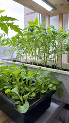 Similar image 22641713