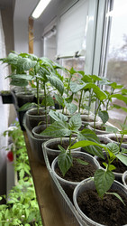 Similar image 22641714