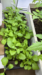 Similar image 22641715