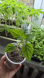 Similar image 22641716