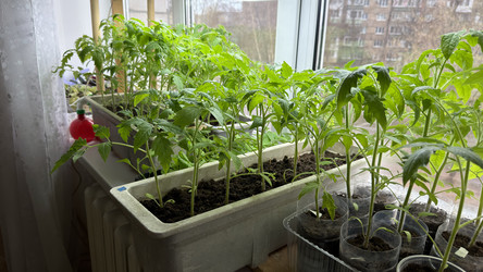 Similar image 22641717