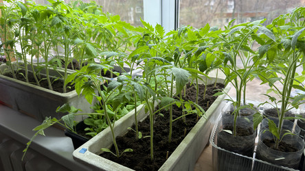 Similar image 22641718