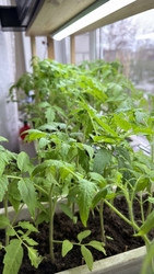 Similar image 22641719