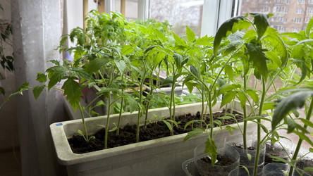 Similar image 22641720