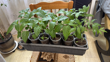 Similar image 22641721