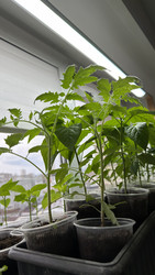 Similar image 22641722