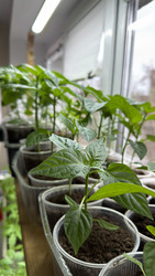 Similar image 22641723