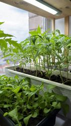 Similar image 22641724