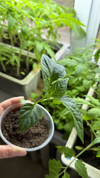 Similar image 22641725