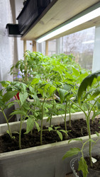 Similar image 22641726