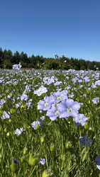 Similar image 22641727