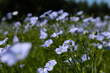 Similar image 22641728