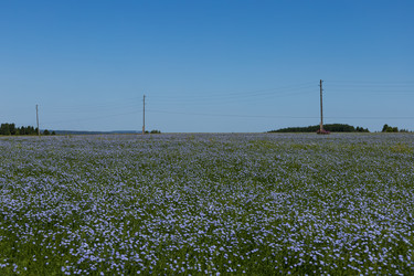 Similar image 22641729