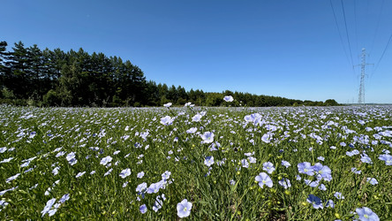 Similar image 22642261