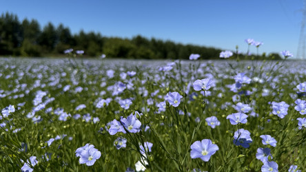 Similar image 22642262