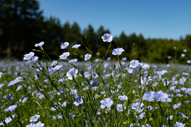 Similar image 22642268