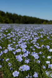 Similar image 22642274