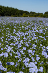 Similar image 22642275