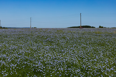 Similar image 22642277