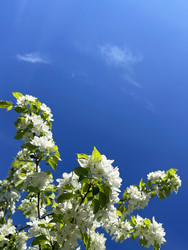 Similar image 22641865