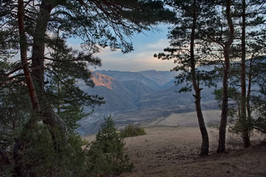 Similar image 22641496