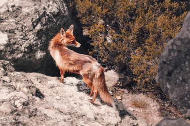 Similar image 22641818