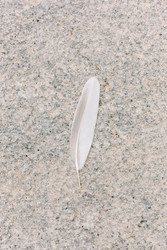 Similar image 22645303