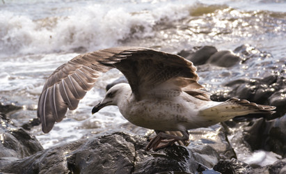 Similar image 22643908