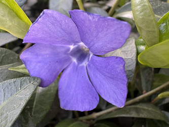 Similar image 22642083