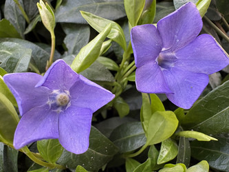 Similar image 22642090