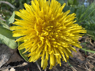 Similar image 22642091