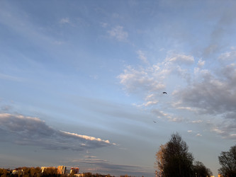 Similar image 22642113