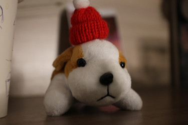 Similar image 22641478