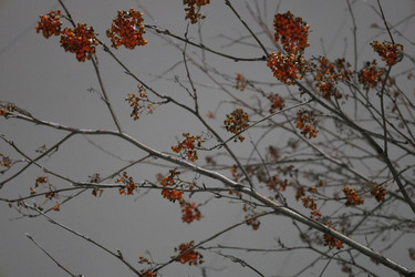 Similar image 22641481