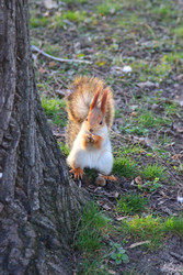 Similar image 22641406