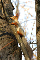 Similar image 22641407