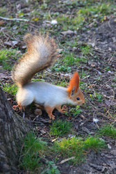 Similar image 22641408