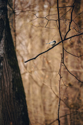 Similar image 22642049