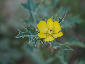 Similar image 22641868